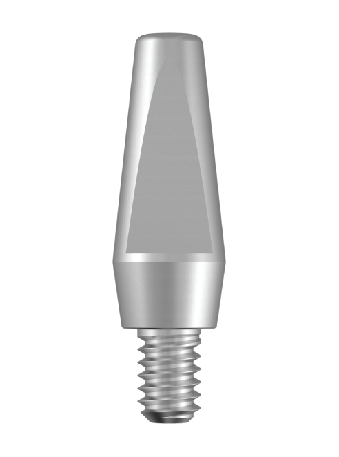 Solid Abutment